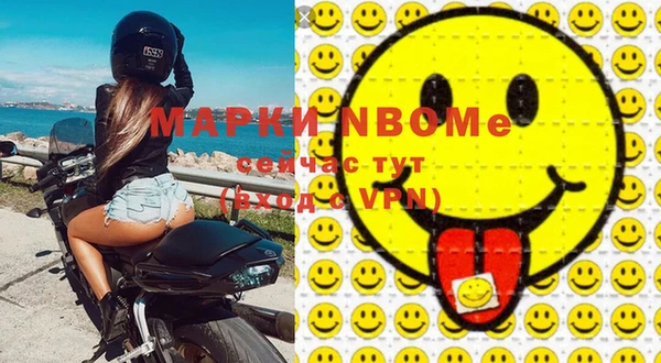 прущие грибы Аркадак