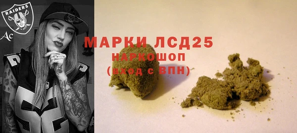 прущие грибы Аркадак