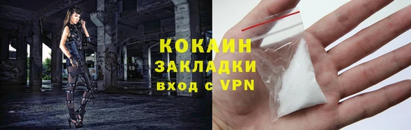 прущие грибы Аркадак