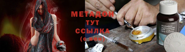 прущие грибы Аркадак
