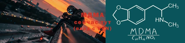прущие грибы Аркадак