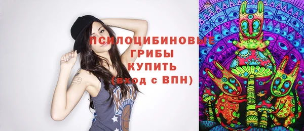 прущие грибы Аркадак