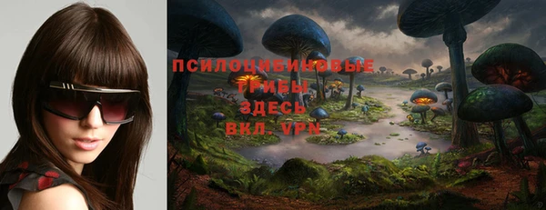 экстази Арсеньев